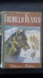 Colmillo blanco